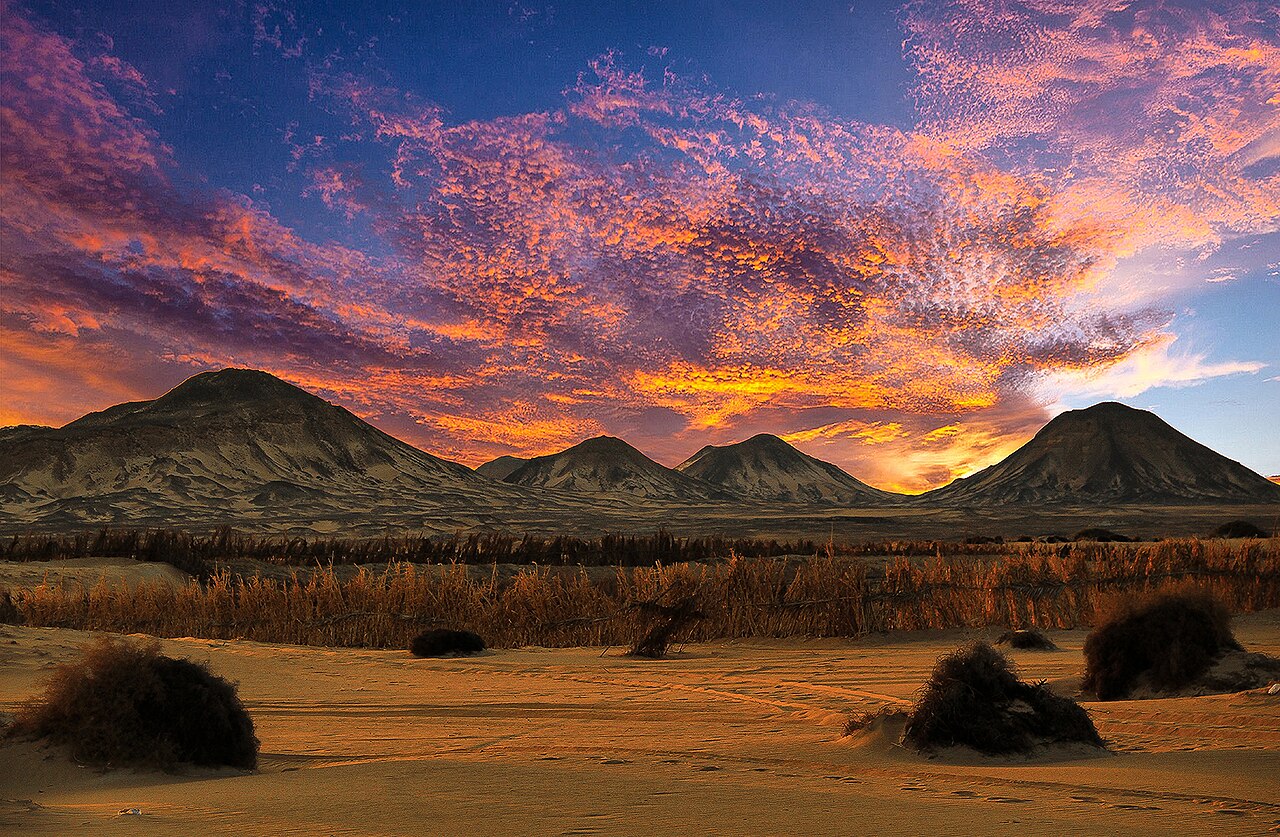 White Desert and Bahariya Oasis (Egypt): trip, duration, price and camp night (from Cairo)