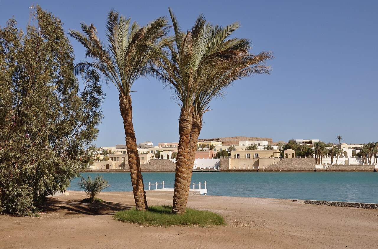 Une lagune d'El Gouna et ses palmiers
