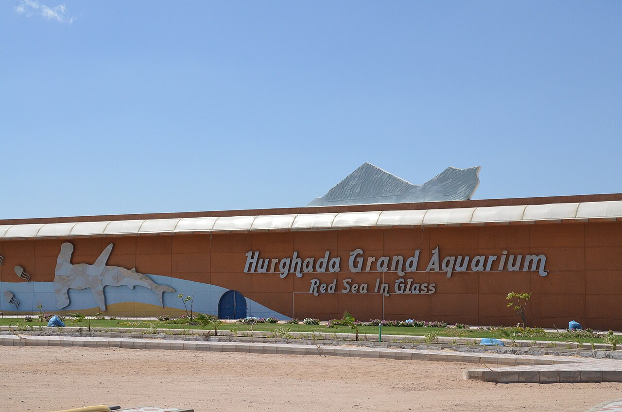 Hurghada Grand Aquarium: godziny otwarcia, cena biletu i gatunki (2026)