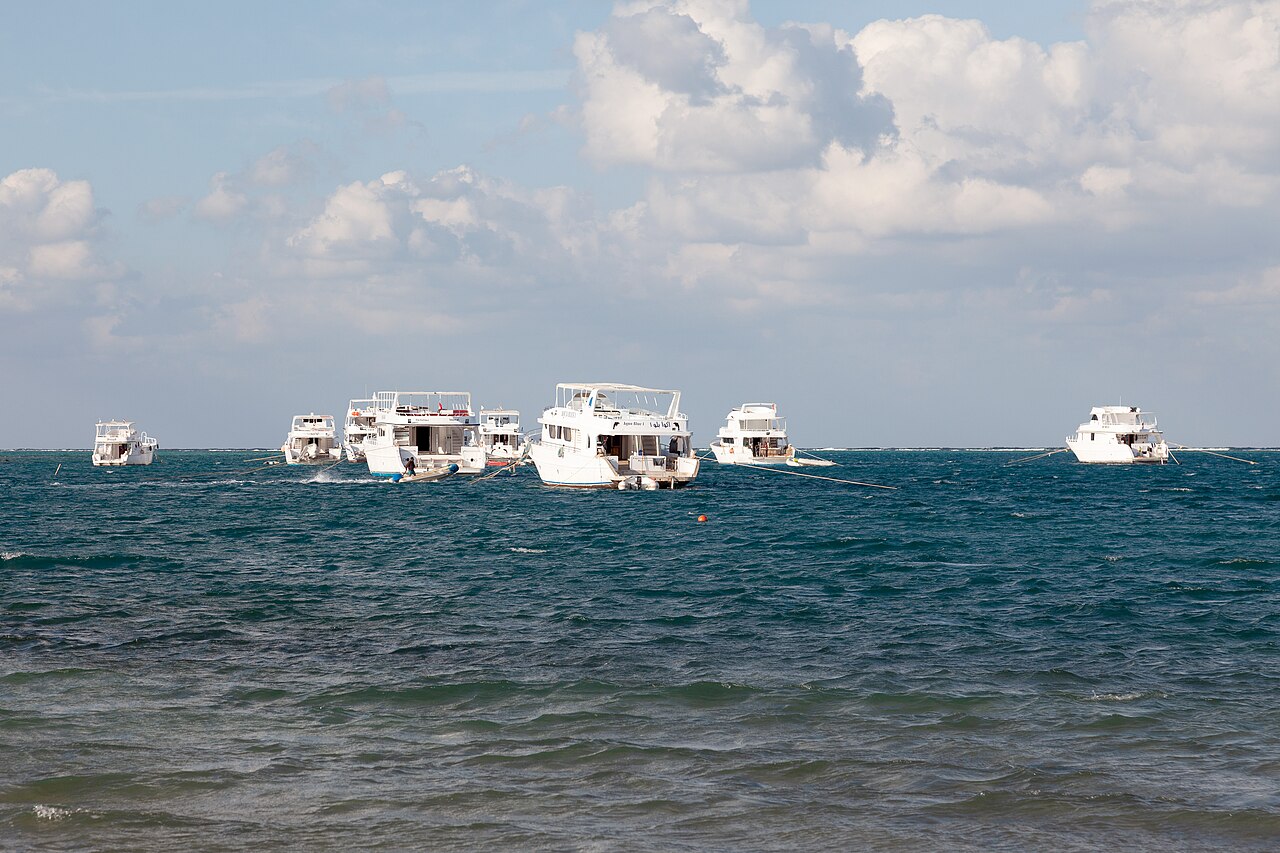 Samadai (Dolphin House) at Marsa Alam: dolphin snorkelling trip, price, duration and rules