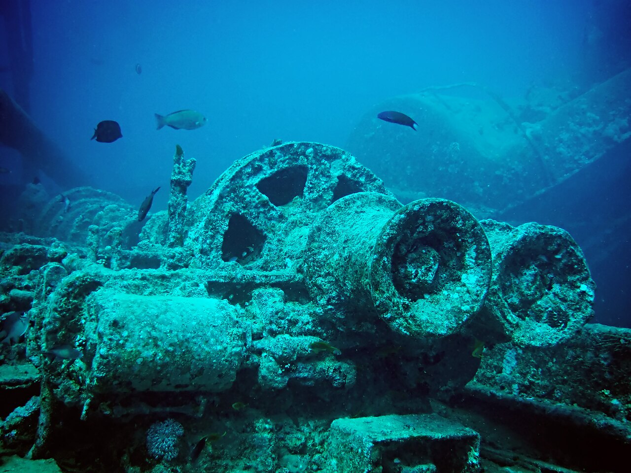 Diving the Thistlegorm from Hurghada: journey, level and which option (2026)