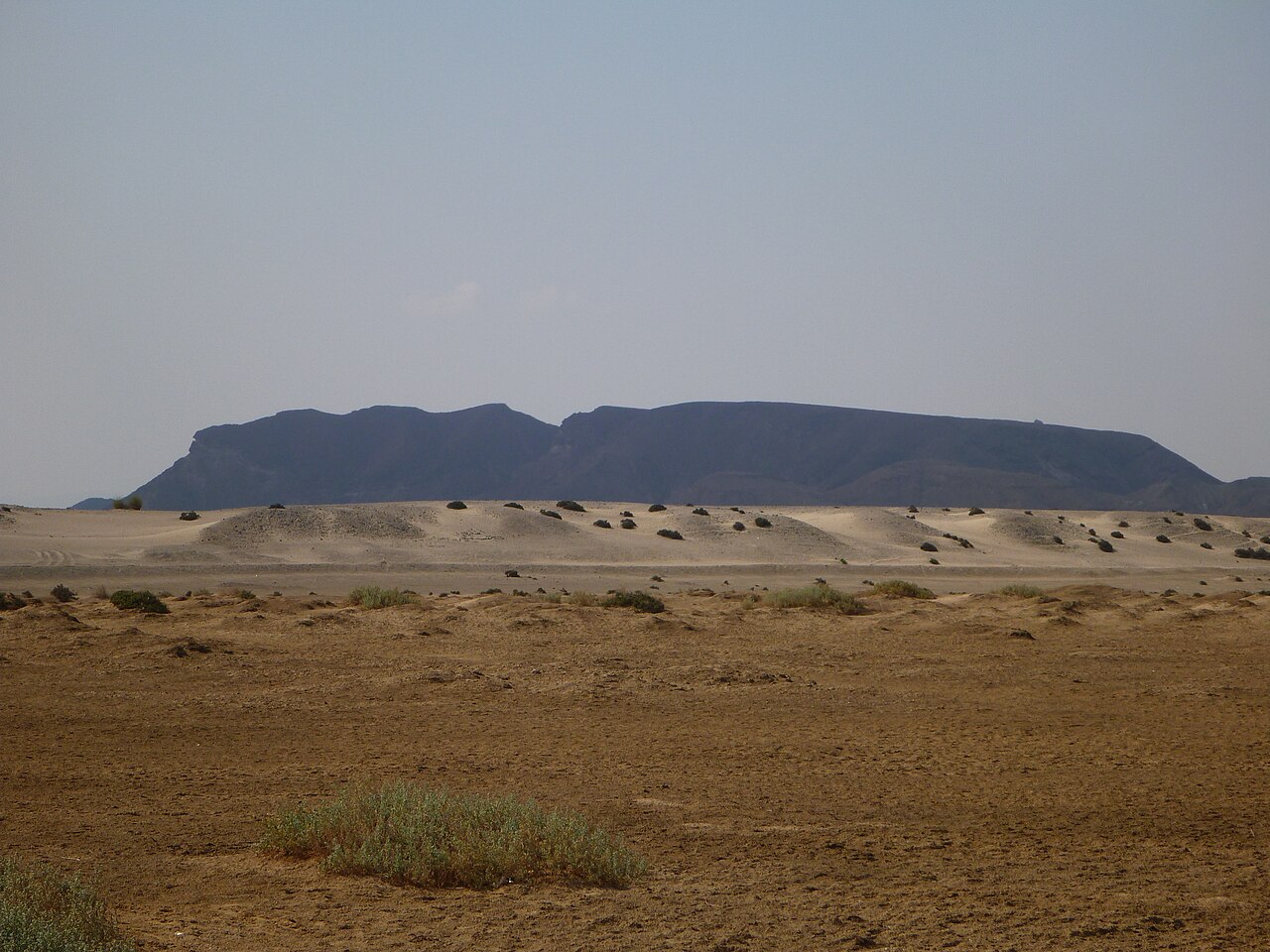 Wadi el Gemal: national park, snorkelling at Hamata and safari from Marsa Alam